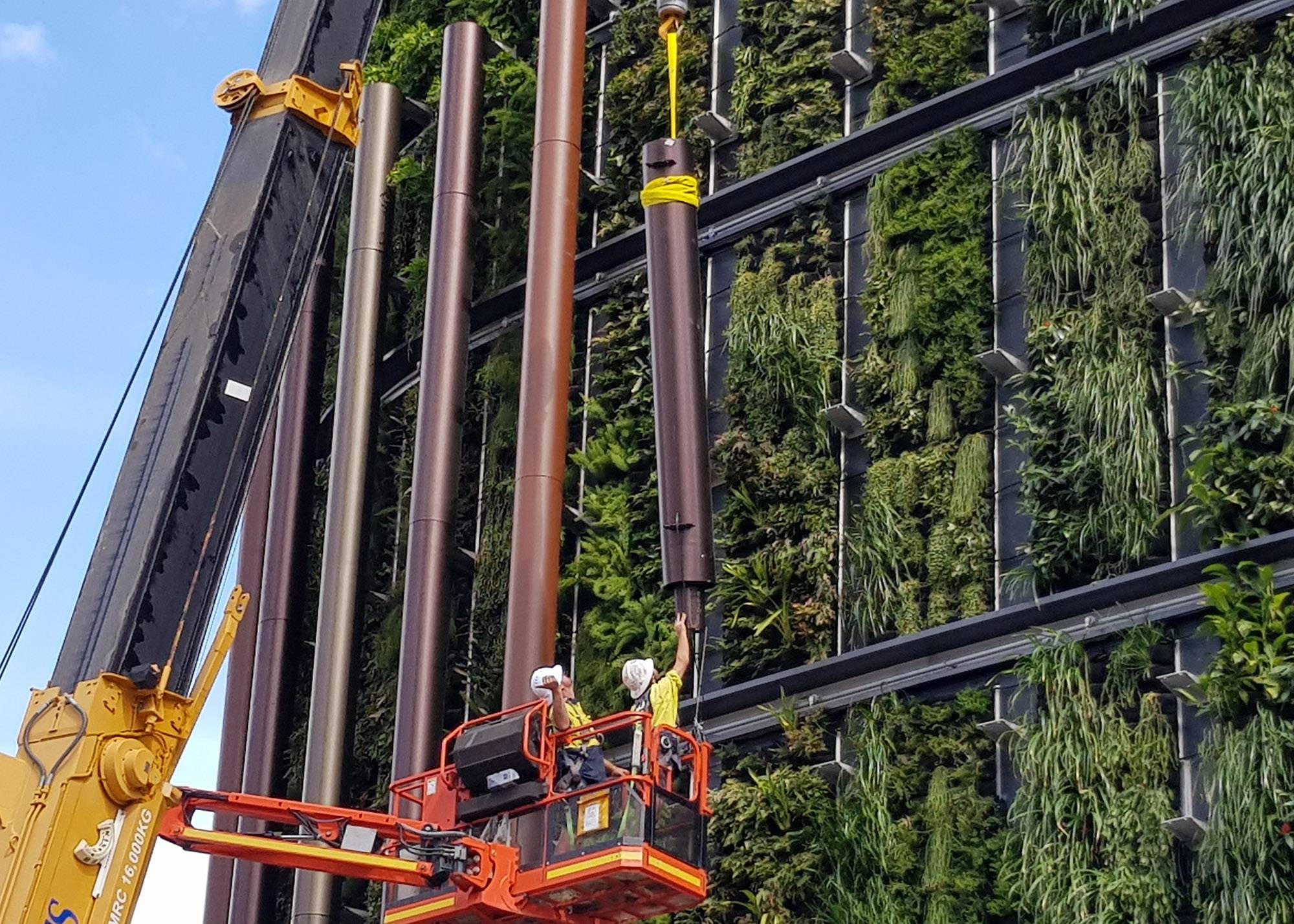 The-Standard-Living-Green-Wall-AAA.jpg